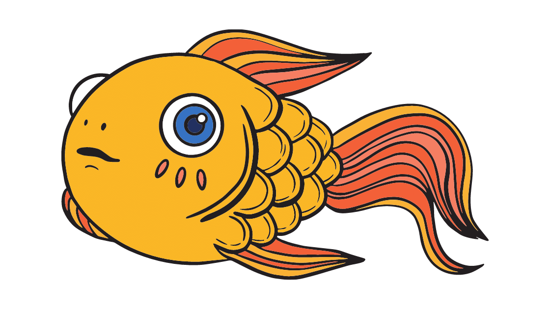 Mengenal Ikan Hias dengan Pola dan Warna yang Aneh