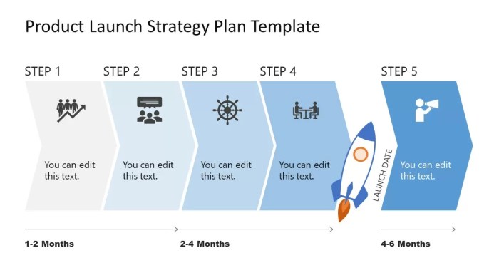 Developing Product Launch Plans