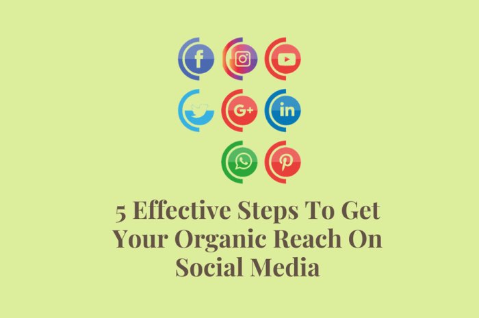 Increasing Organic Reach on Social Media