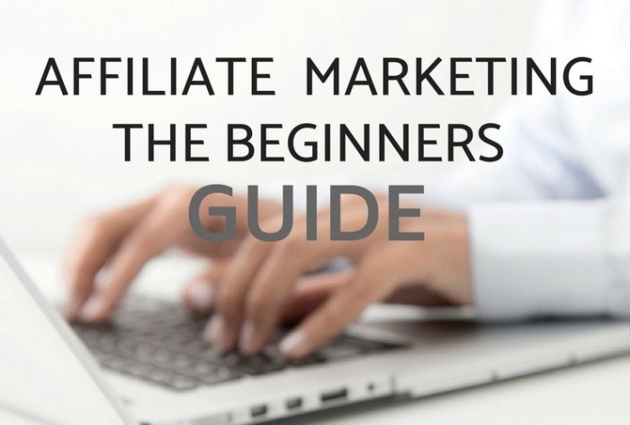 Affiliate Marketing Guide