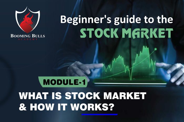 Stock Market Basics