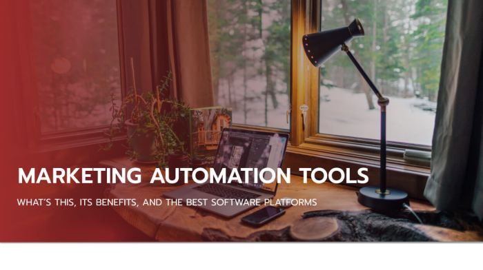 Understanding Marketing Automation Tools