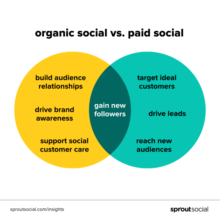 Increasing Organic Reach on Social Media