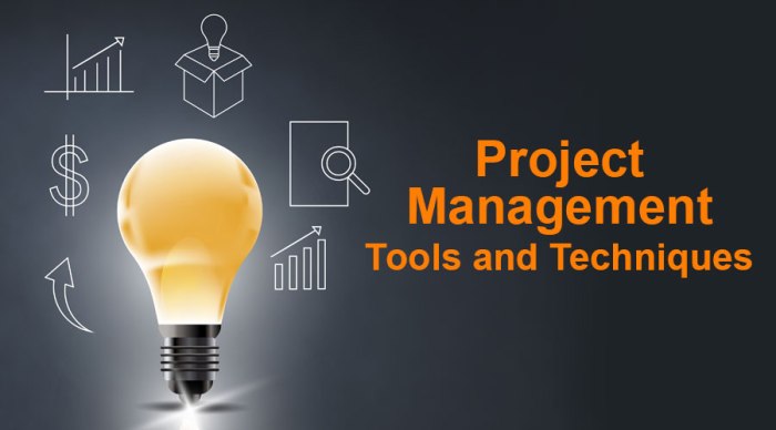 Project Management Techniques