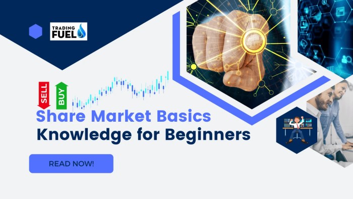 Stock Market Basics