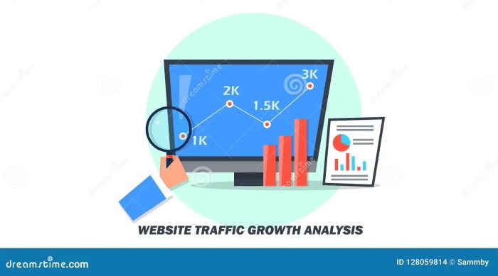 Analyzing Website Analytics