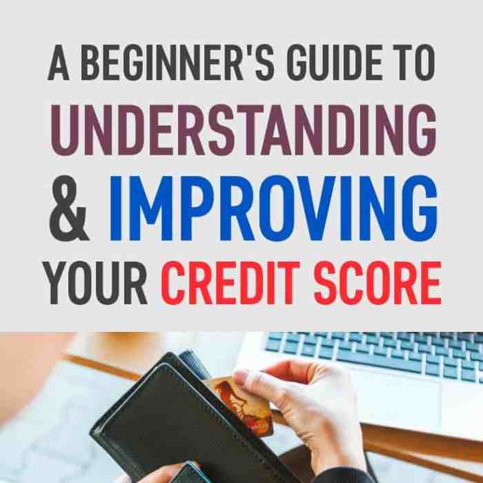 Credit Score Improvement