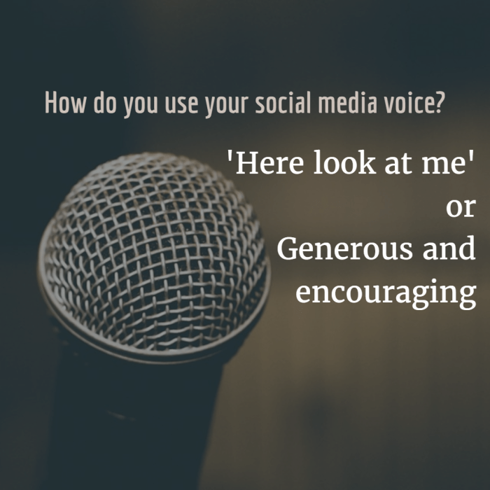 Developing a Social Media Voice