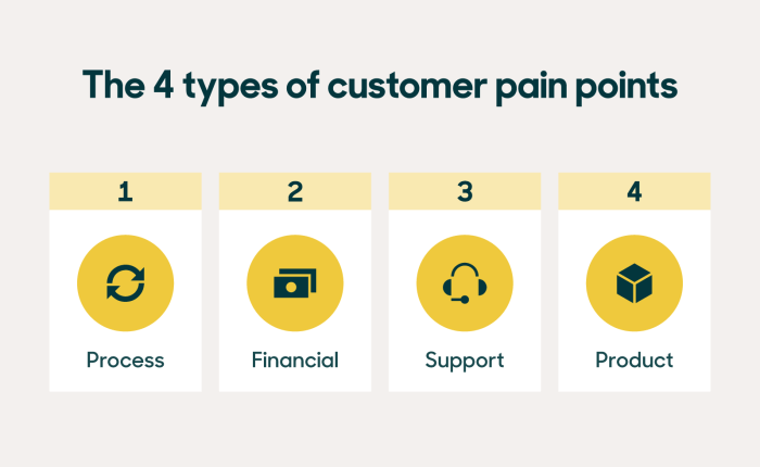 Customer pain points understanding segment business pains