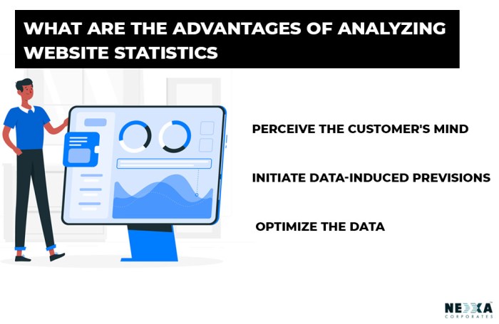 Analyzing Website Analytics